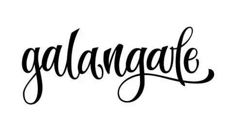 Galangale - vector hand drawn calligraphy style lettering word. Stock Illustration