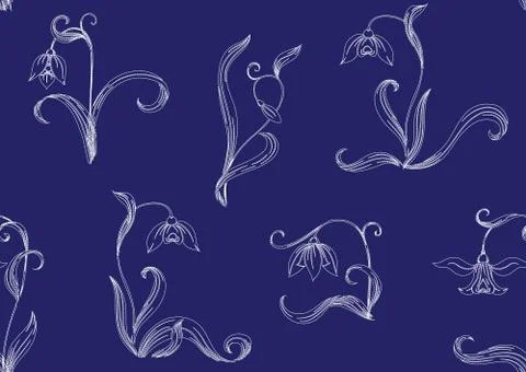 Galanthus, snowdrop. Stock Illustration