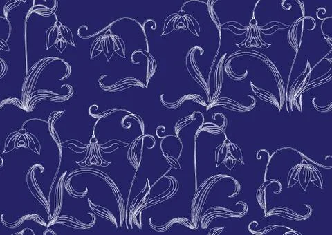 Galanthus, snowdrop. Illustrazione stock