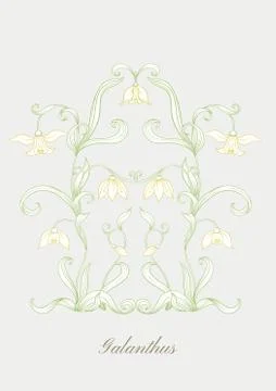 Galanthus, snowdrop, nivalis. Set of elements for design Stock Illustration