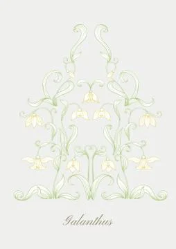 Galanthus, snowdrop, nivalis. Set of elements for design Stock Illustration