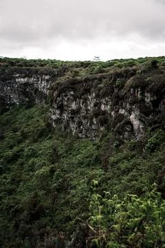 Galapagos Cliffside Greenery Stock Photos