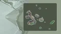 Galapagos Islands channeled. Satellite 4k or 4k+ Resolution