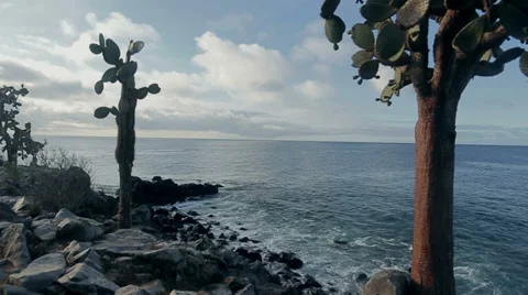 Galapagos Islands Sea Stock Footage