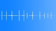 Galapagos Mockingbird Call SantaSound Effect