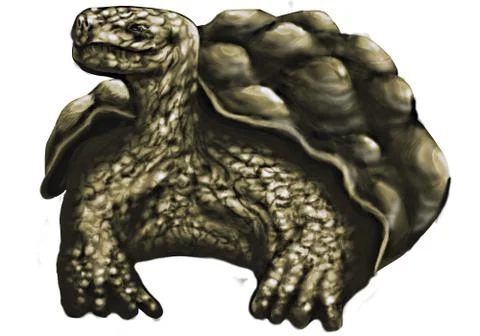 Galapagos tortoise Stock Illustration