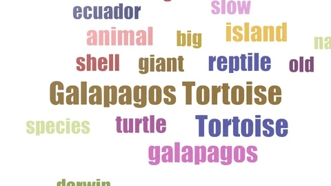 Galapagos Tortoise Tag Cloud Animated Isolated On White Stock Footage 107229796