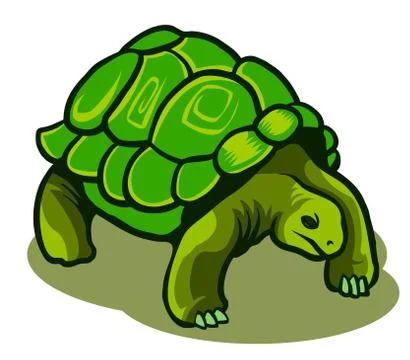 Galapagos Turtle Stock Illustration