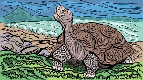 Galapagos Turtle on the ocean Stock Illustration