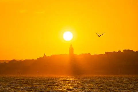 Galata Tower view at sunset with shadow in the haze and seagull on the sky Foto stock