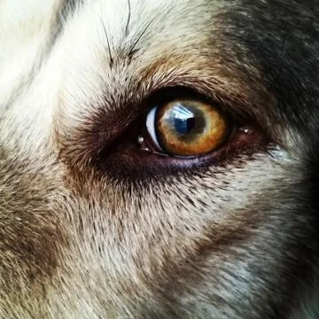 Galaxeye Stock Photos