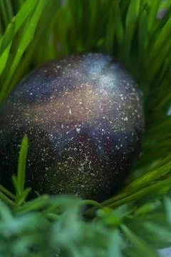 Galaxy Easter eggs Stock Photos