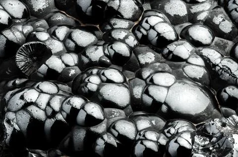 Galena texture Stock Photos