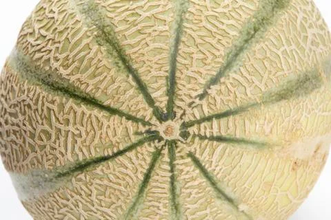 Galia melon - close up Stock Photos