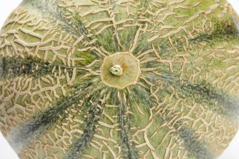 Galia melon - close up Stock Photos