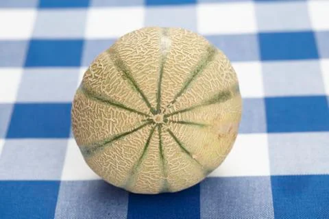 Galia melon Stock Photos