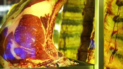 Galician Chuletón in display fridge, typical Spanish bone in rib steak Stock Footage 233043928