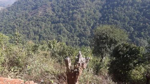 Galikonda view point, second highest peak in the eastren ghats Foto stock