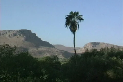 Galilee landscape Israel Stock Footage
