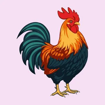 Gallant Rooster Standing Vector Illustration  Stock Illustration