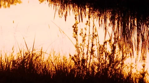 Gallatin River at sunset Stock Footage 55335269