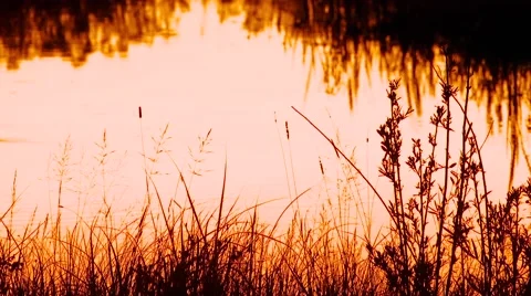 Gallatin River at sunset Stock Footage 55335290