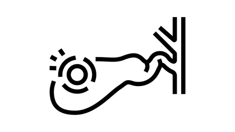 Gallbladder check gastroenterologist line icon animation Video stock 326132202