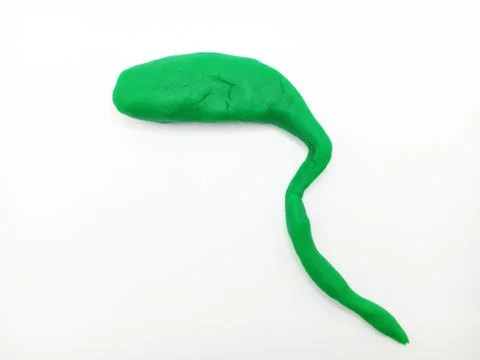 Gallbladder clay Stock Photos