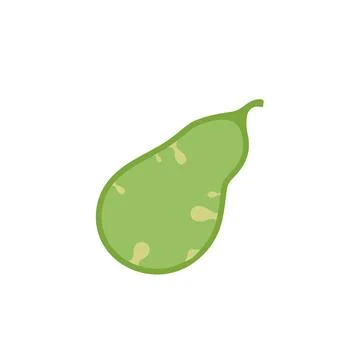 Gallbladder with detection polyp, disease. Check health of gallbladder Stock Illustration