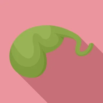 Gallbladder icon, flat style Stock Illustration