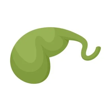 Gallbladder icon, flat style Stock Illustration