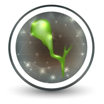 Gallbladder icon Stock Illustration