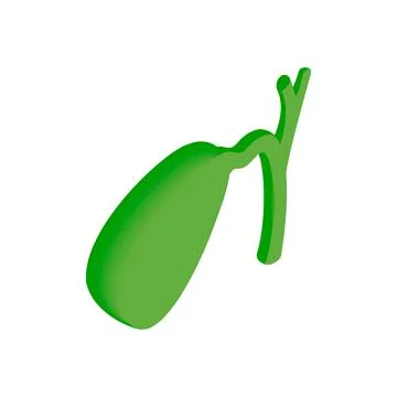 Gallbladder isometric 3d icon Stock Illustration