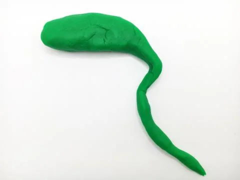 Gallbladder Stock Photos