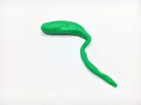 Gallbladder Stock Photos