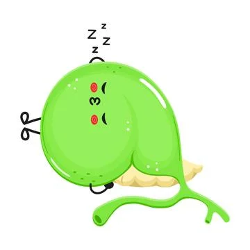 Gallbladder sleeping character. Vector hand drawn cartoon kawaii character .. Stock Illustration