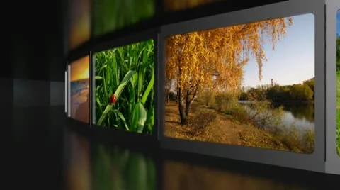 Gallery Stock Footage 10744416