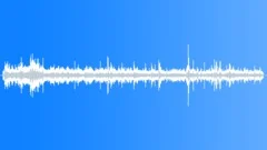 Gallery Forest Atmosphere Recorded Sound Effect