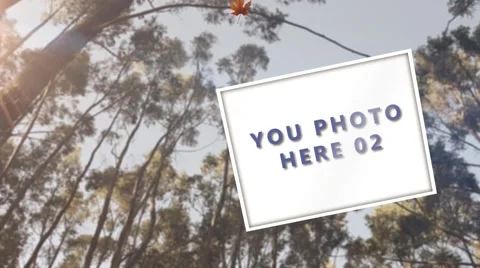 Gallery Nature Stock After Effects