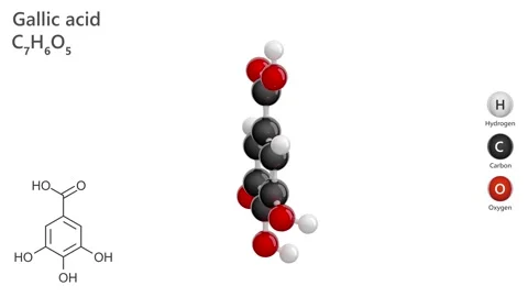 Gallic Acid. Antioxidant. 3D model. C7H6O5. White background. 3D render Stock Footage 294781262