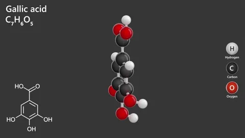 Gallic Acid. Antioxidant.3D model of a molecule. Gray background. 3D render Stock Footage 289653421
