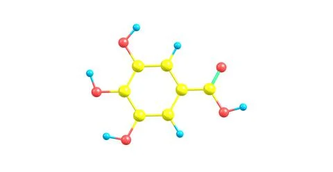 Gallic acid molecular structure isolated on white Stock Illustration