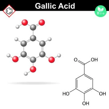 Gallic acid molecule Stock Illustration