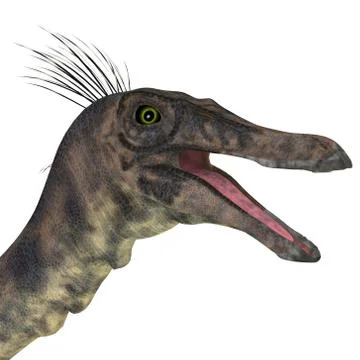 Gallimimus Dinosaur Head 스톡 일러스트