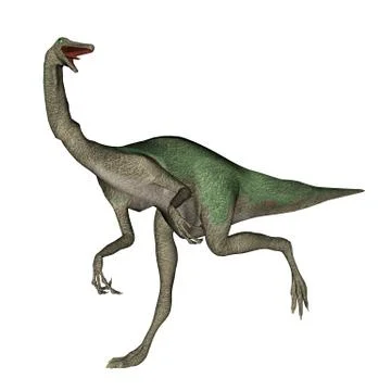 Gallimimus dinosaur walking - 3D render Stock Illustration