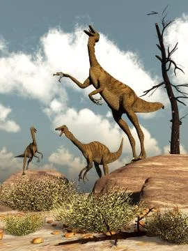 Gallimimus dinosaurs - 3D render Stock Illustration