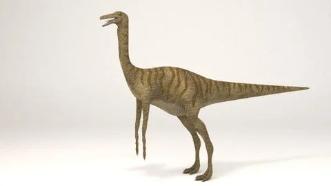 Gallimimus Stock Illustration