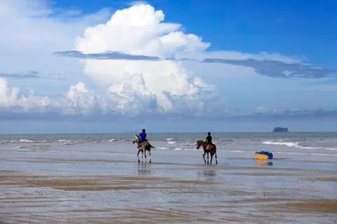 Gallop on the beach Stock Photos