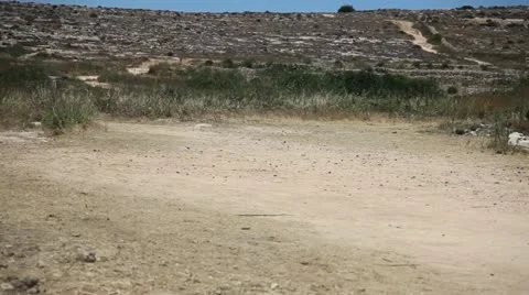 Gallop Stock Footage 11231980