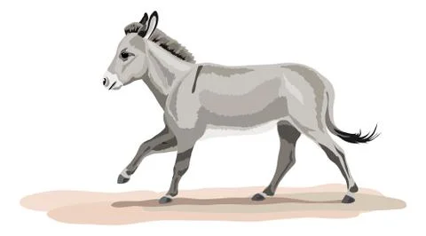Galloping donkey Stock Illustration